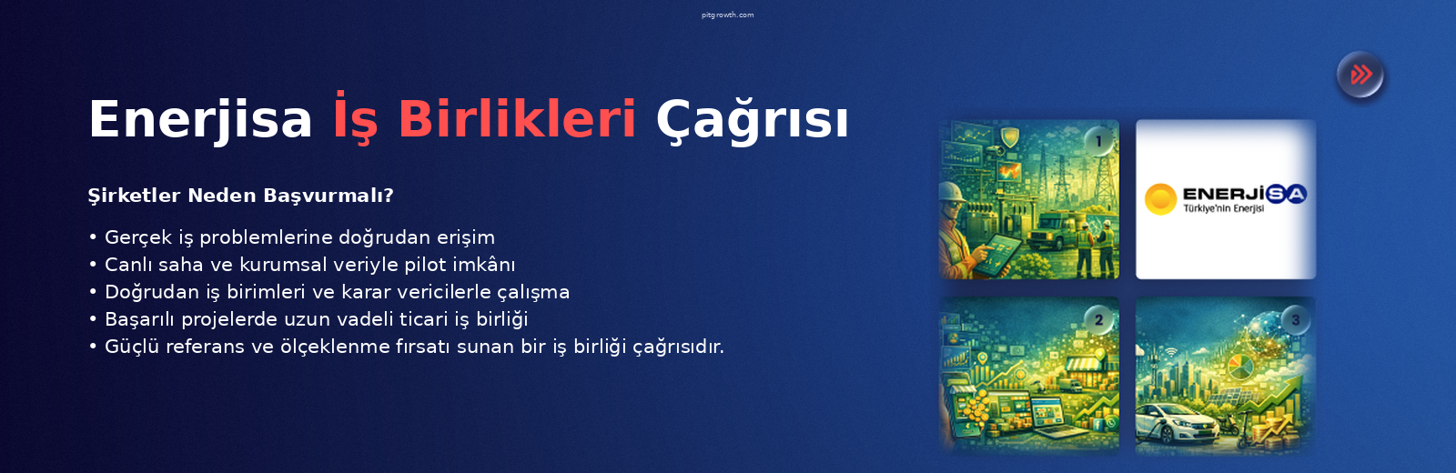 Enerjisa İş Birlikleri Çağrısı Talep Listesi